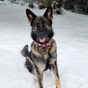 Fundraising Page: Lea  St. Jean